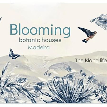 Blooming Botanic Houses Estreito Da Calheta Exteriér fotografie