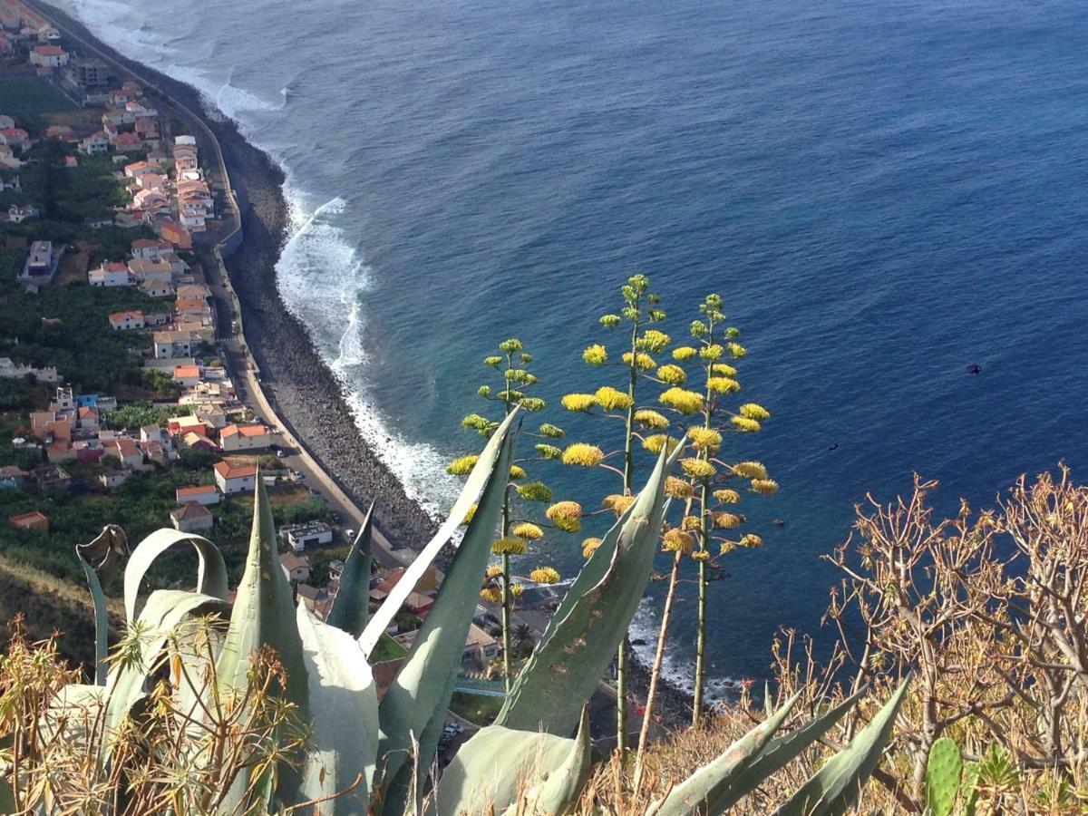 Blooming Botanic Houses Estreito Da Calheta Exteriér fotografie
