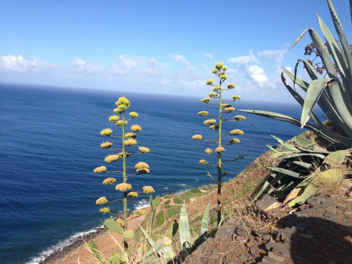 Blooming Botanic Houses Estreito Da Calheta Exteriér fotografie