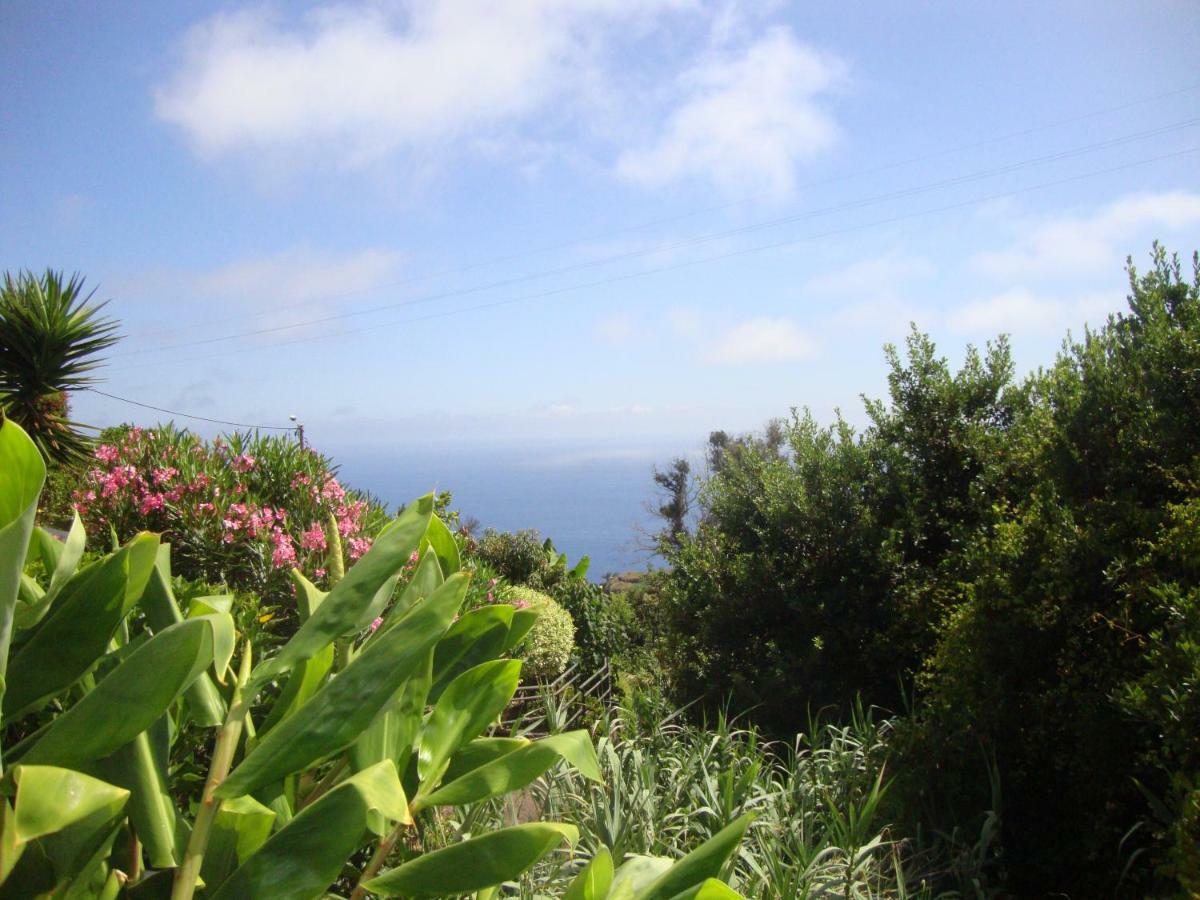 Blooming Botanic Houses Estreito Da Calheta Exteriér fotografie